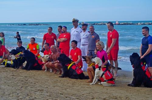 Cani Soccorso Nautico Assegnati A Francavilla Al Mare I