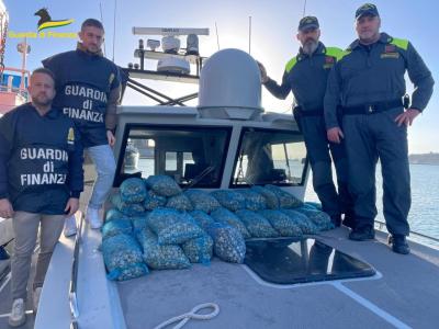 Pesca di frodo al porto di Ortona, il ROAN della Guardia di Finanza di Pescara sequestra 340 kg di vongole, sanzioni per 2mila euro