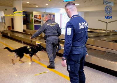 Sequestrata droga all'aeroporto d'Abruzzo di Pescara da Guardia di Finanza e Agenzia delle Dogane