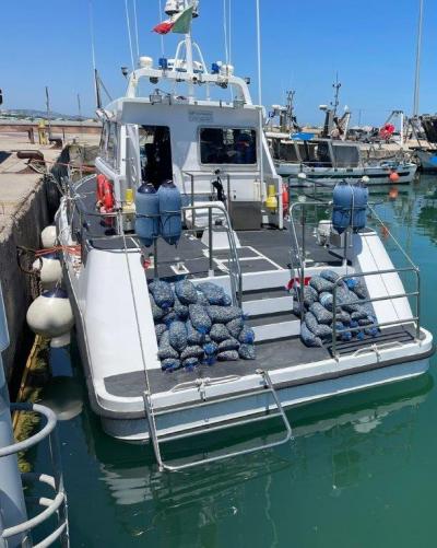 Operazione Mistral, controlli a tappeto della Guardia Costiera di Pescara sulla filiera ittica 