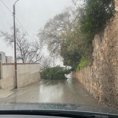 Maltempo a Fossacesia: forte vento e mare in tempesta causano disagi sul territorio