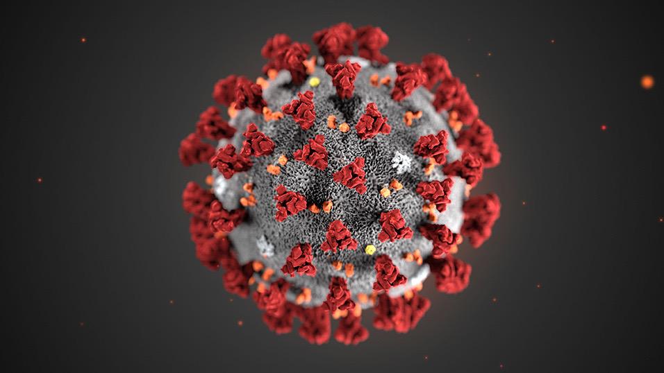 Coronavirus, 49 nuovi casi positivi in Abruzzo,  