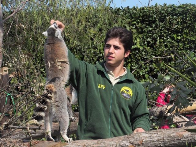 Turismo, Febbo: ingresso gratuito allo Zoo d'Abruzzo per gli operatori sanitari e Protezione civile