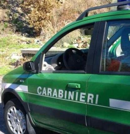 Carabinieri Forestali Lanciano accertano uno scarico di vernici nel depuratore   