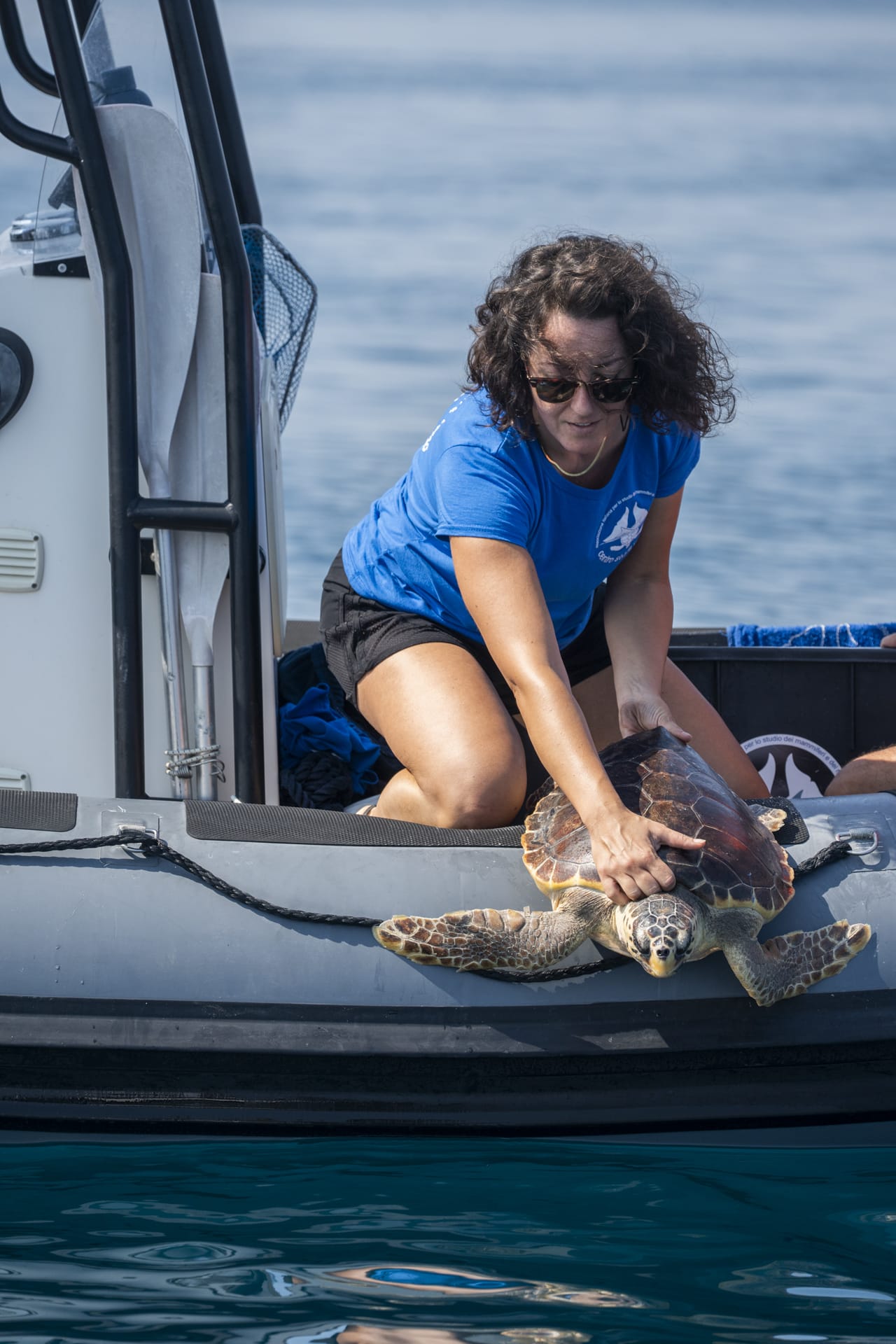 Rilasciata Flavia, tartaruga Caretta caretta riabilitata dal personale del Centro Studi Cetacei