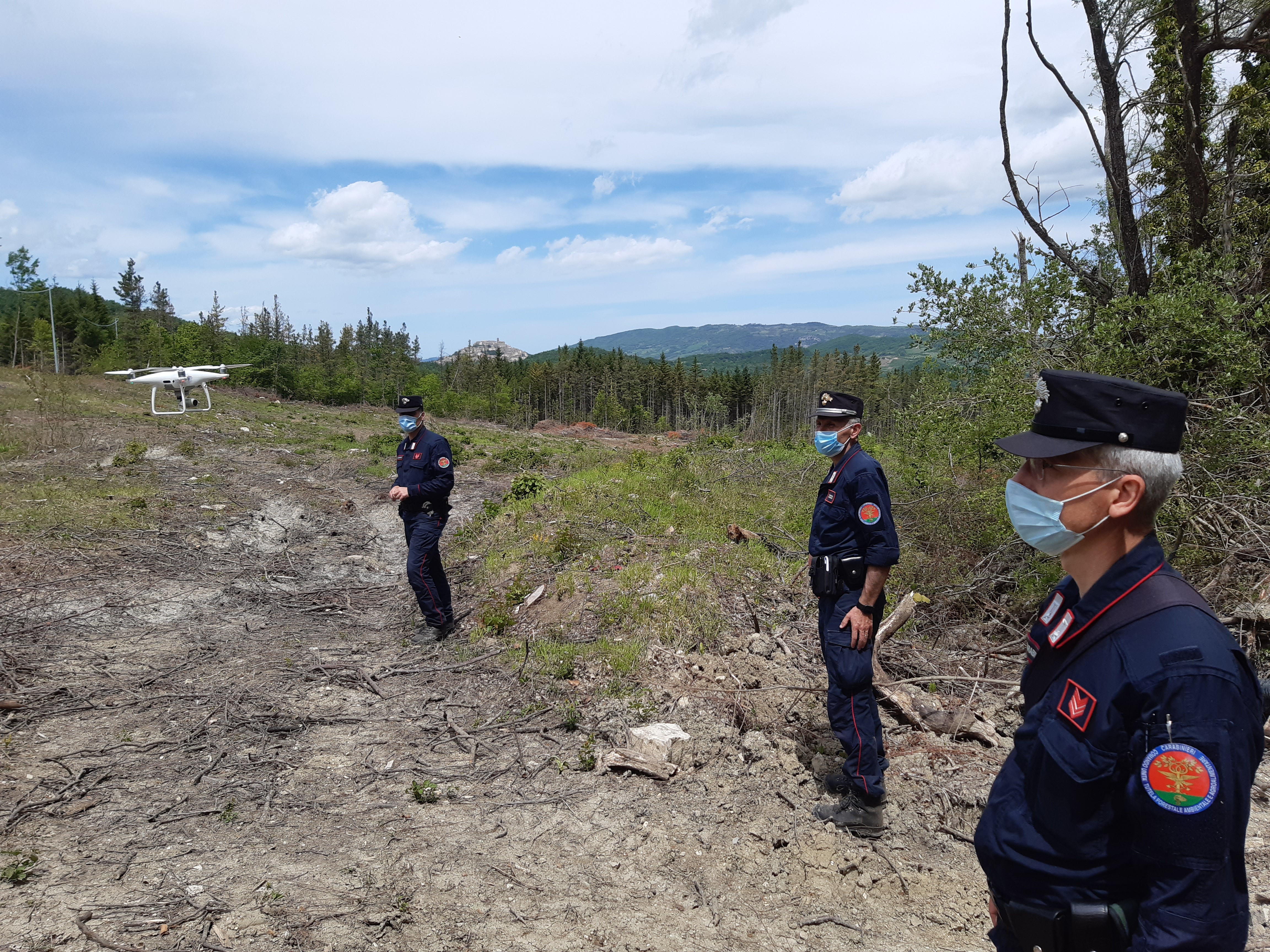 I Carabinieri Forestale sequestrano bosco e legname a Torrebruna