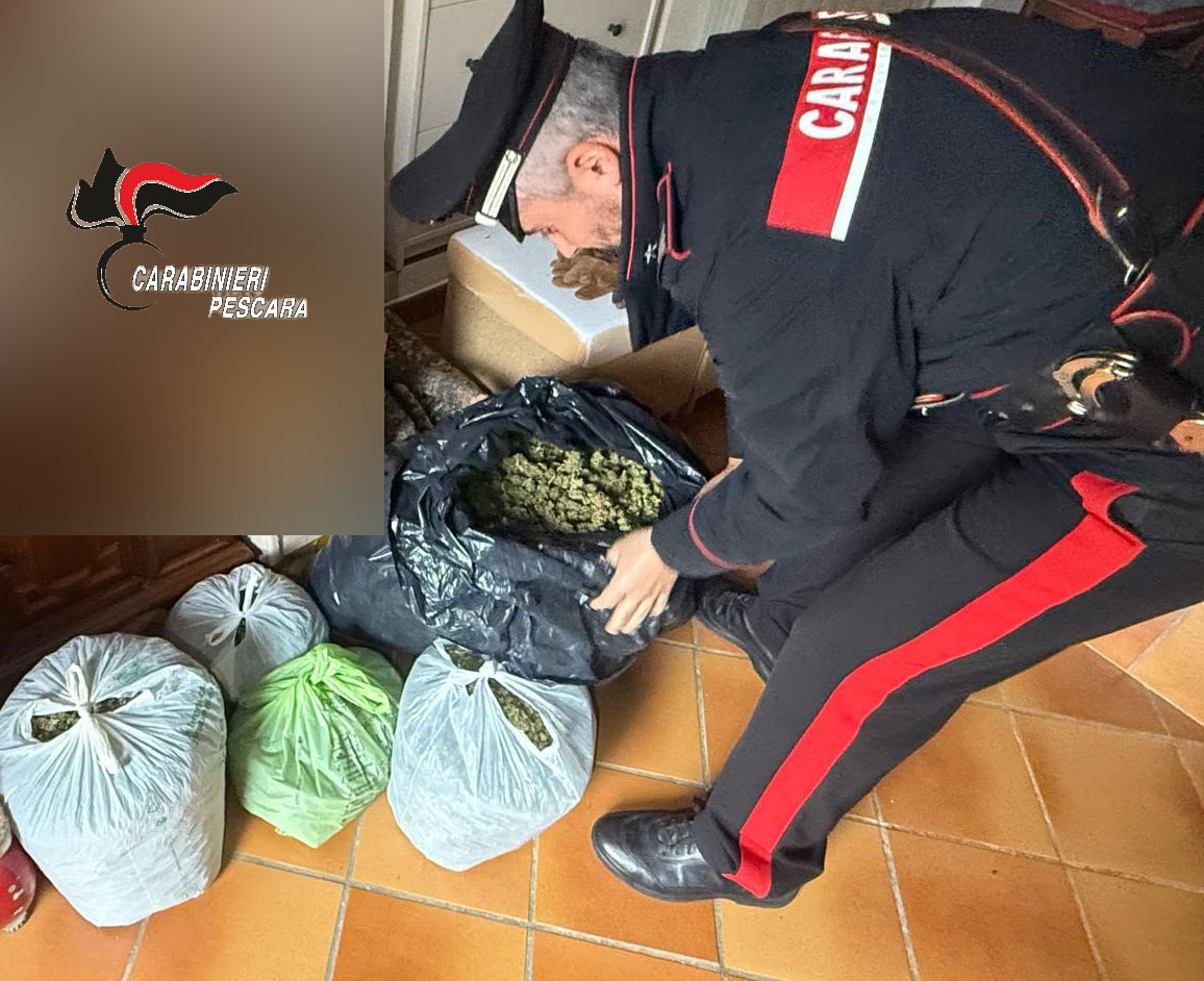 Operazione antidroga dei Carabinieri di Cepagatti: sequestrati 20 kg di marijuana, arrestato 56enne