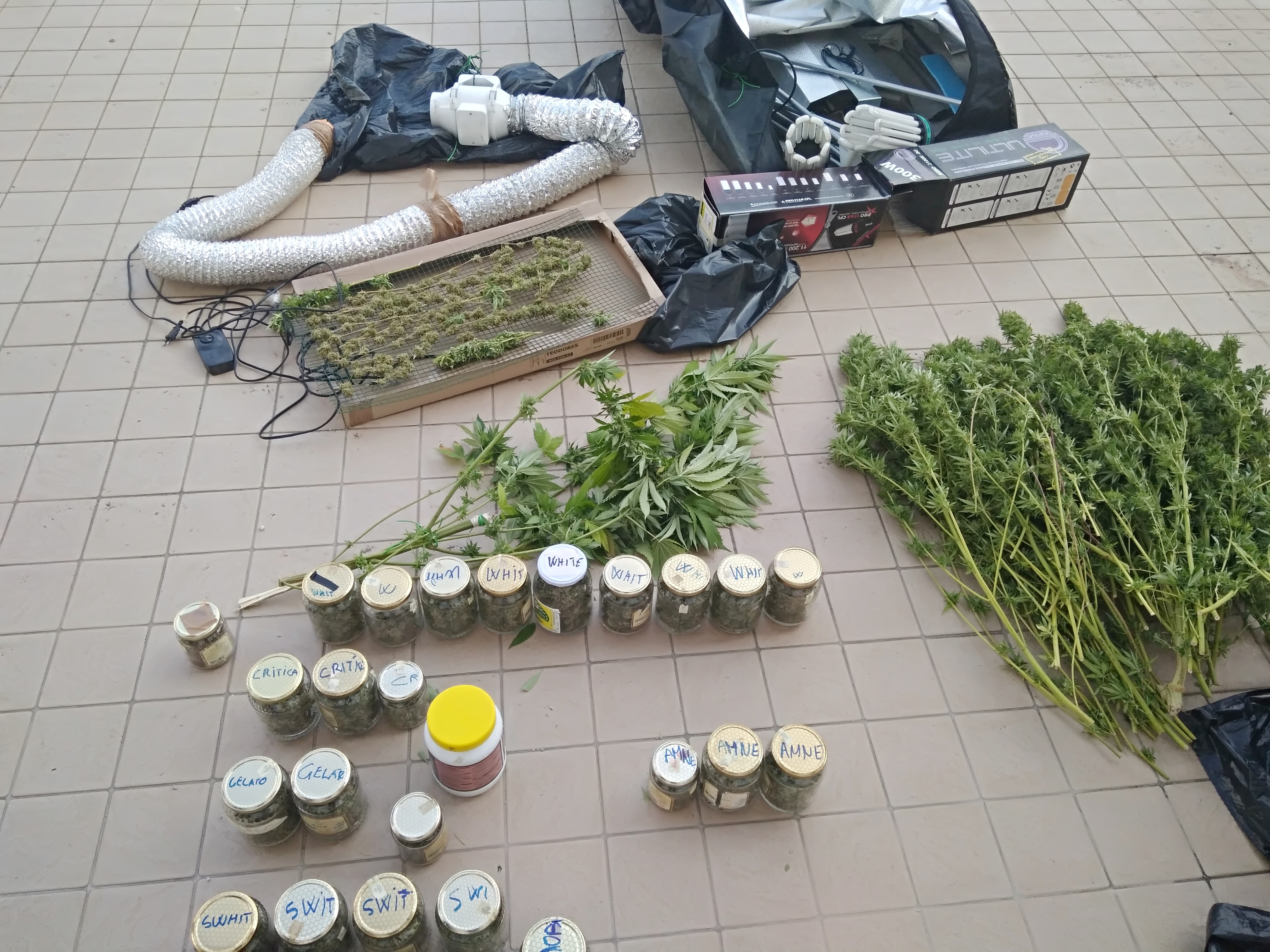 Lanciano, aveva in casa una mini serra di marijuana, arrestato dai Carabinieri un operaio 53enne