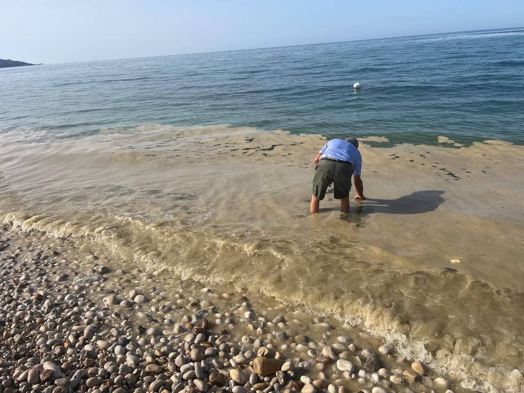 Mucillagine lungo la costa abruzzese: fenomeno naturale non pericoloso per i bagnanti"