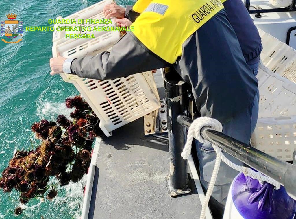 San Vito Chietino, pescatori di ricci di mare fermati e sanzionati oltre che per pesca illegale anche per violazione a norme anti Covid-19.