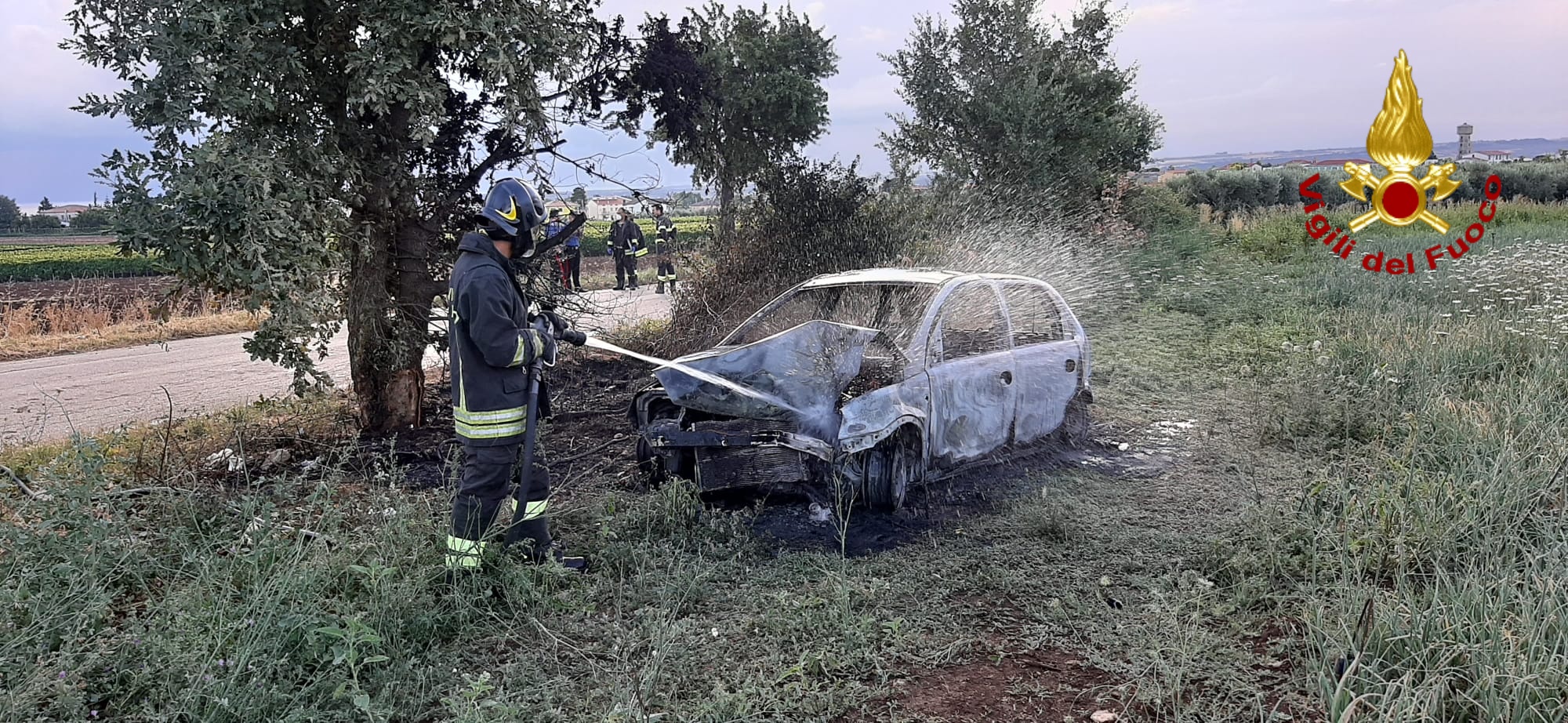 Campomarino (Campobasso) auto finisce contro un albero e prende fuoco