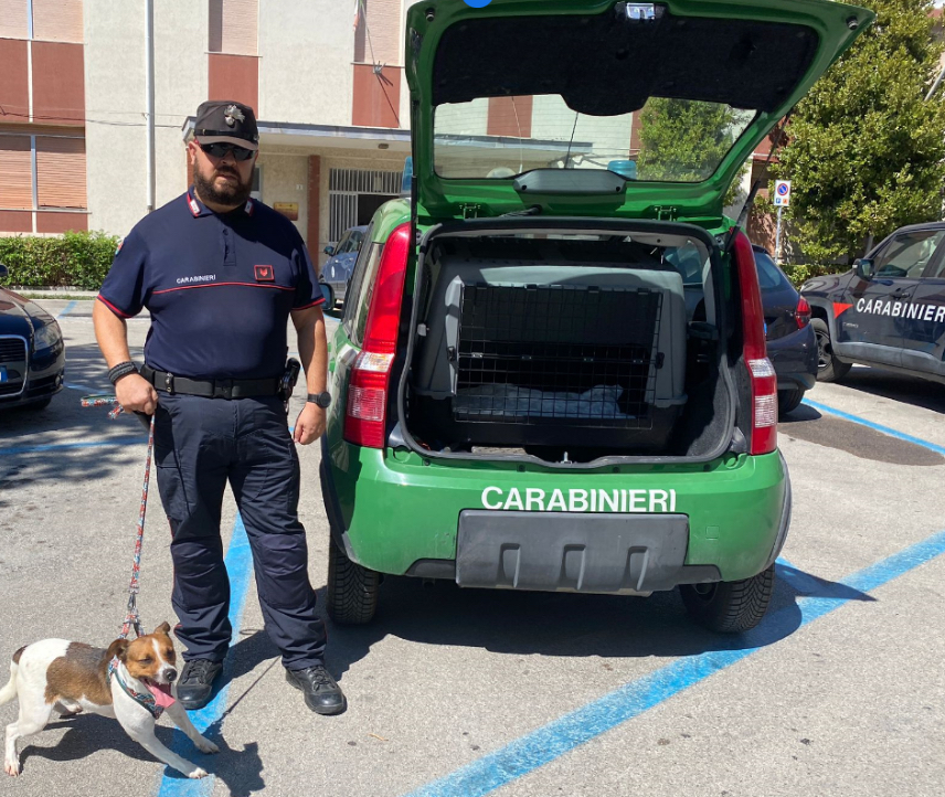 Carabinieri Forestali denunciano due persone per maltrattamento di un cane a Lanciano