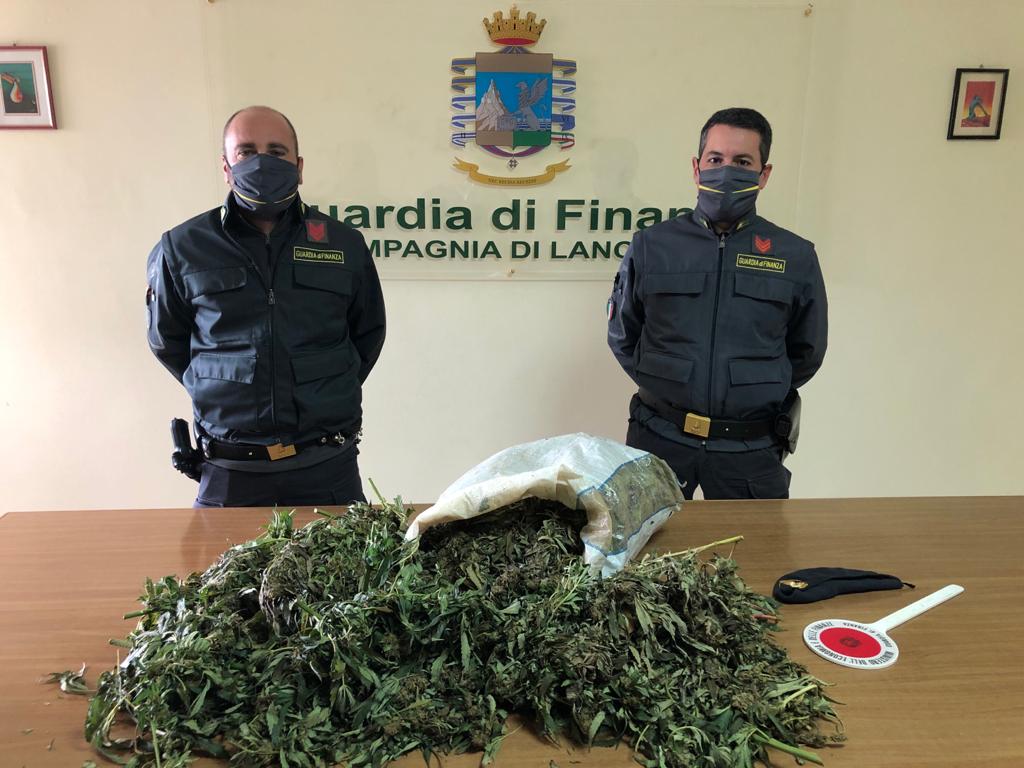 Lanciano, la Guardia di Finanza trova in campagna un sacco contenente 9 kg di piante canapa indiana