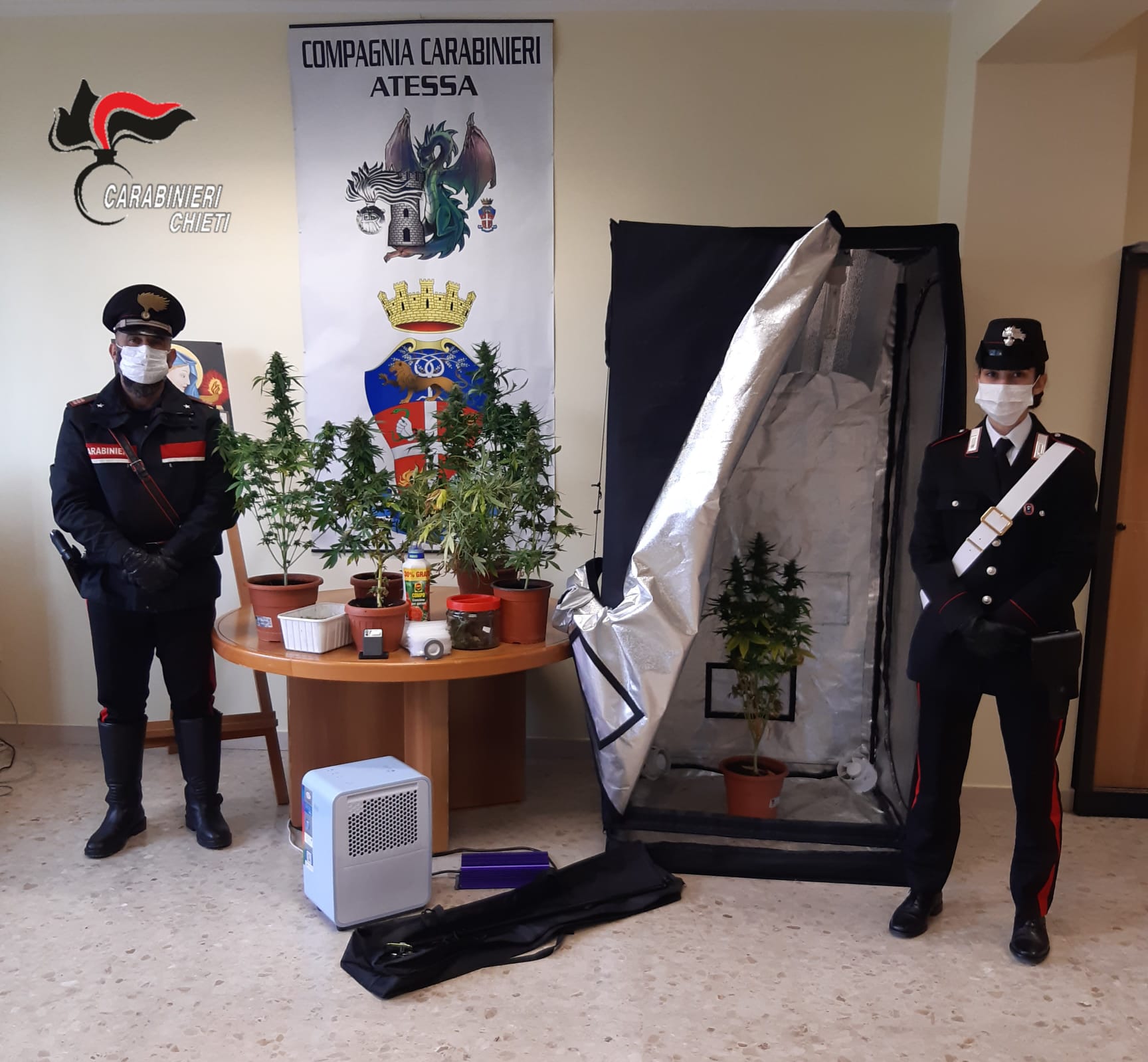 Lanciano, i Carabinieri scoprono in un appartamento un piccolo laboratorio per la lavorazione di Marjuana