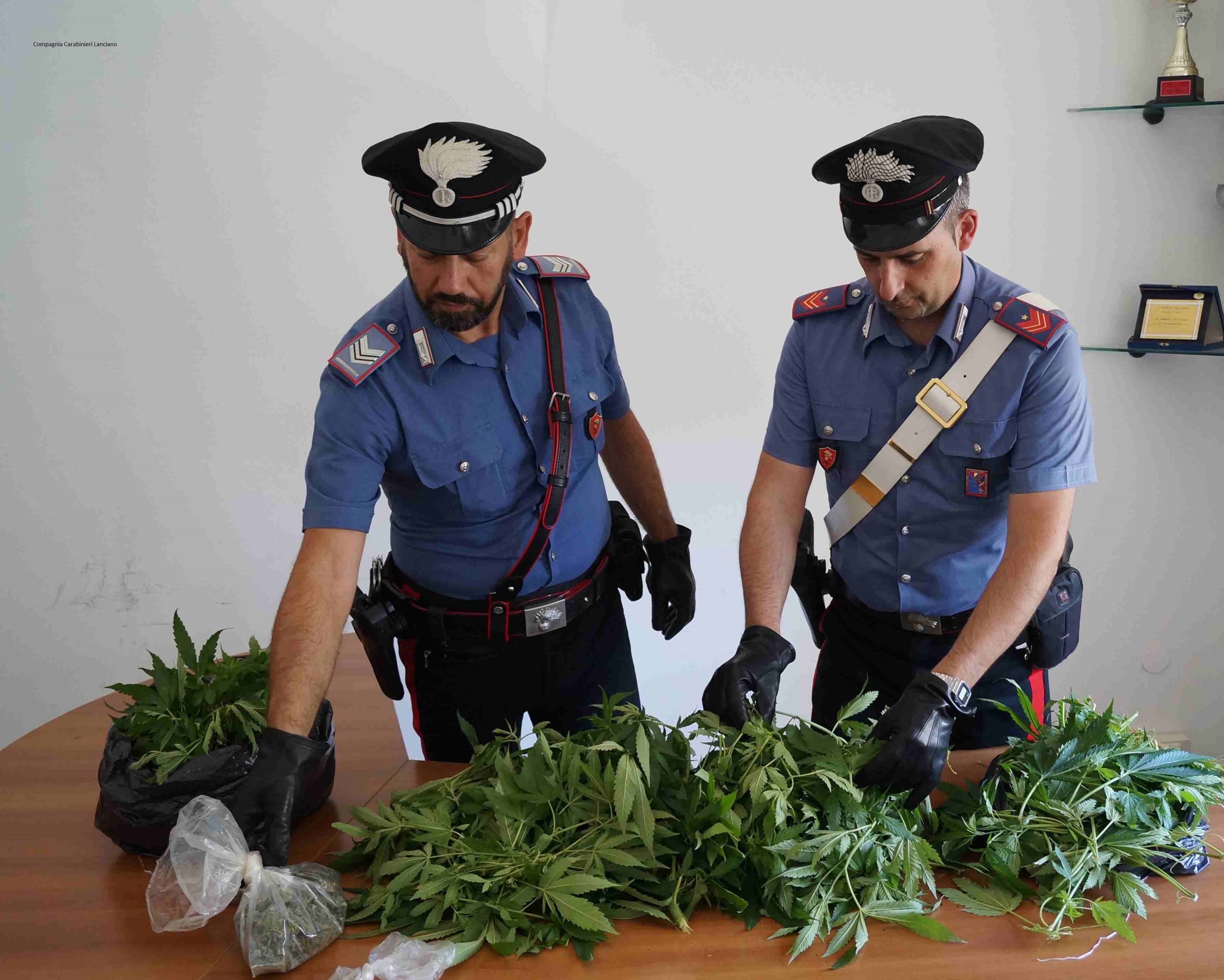 TORRICELLA PELIGNA(CH), MARJUANA FAI DA TE. CARABINIERI SEQUESTRANO 20 PIANTE SUI BALCONI DI CASA E ARRESTANO UNA 60ENNE APPASSI