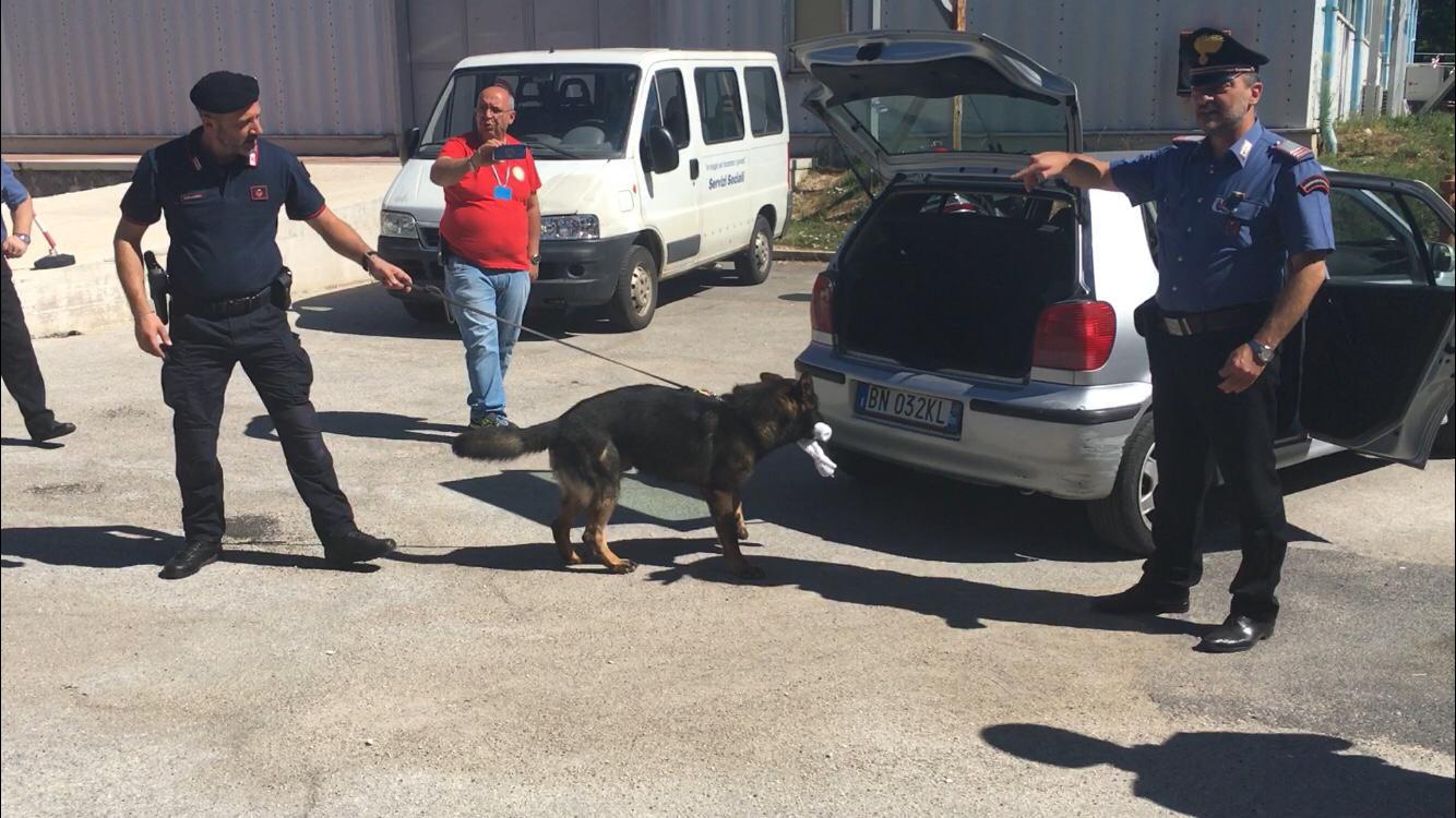 Il Comando Generale dei Carabinieri ha rinnovato la collaborazione con il Dipartimento della Protezione Civile di Carsoli