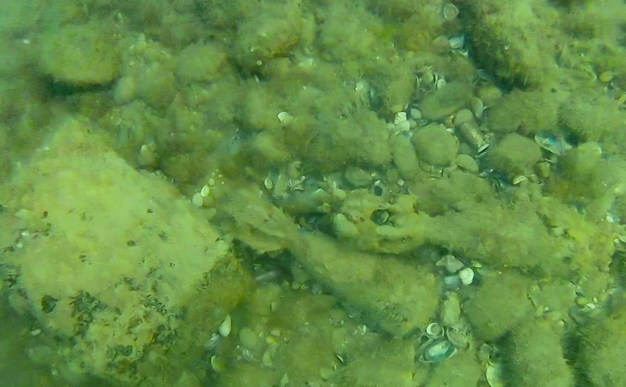 Fossacesia, ordigni bellici ritrovati in mare a Fosso Palazzo da un sub