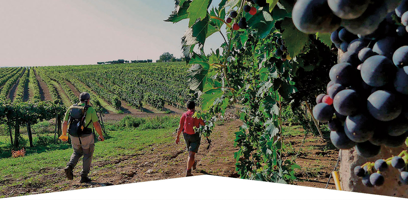 “Cammino della Pace”, nasce a Orsogna il Consorzio tra Comuni italiani, albanesi e macedoni