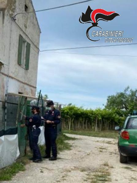 Carabinieri  Forestale Abruzzo e Molise, nel 2020 elevate sanzioni per 2,5 mln