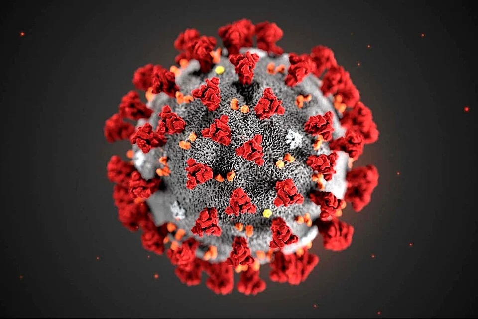 Coronavirus Abruzzo, oggi 215 nuovi positivi e 243 guariti. Dati aggiornati al 15 aprile