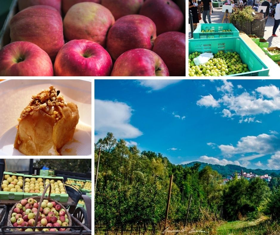 A Castel del Giudice la Festa della Mela, ci saranno i migliori produttori di Molise ed Abruzzo