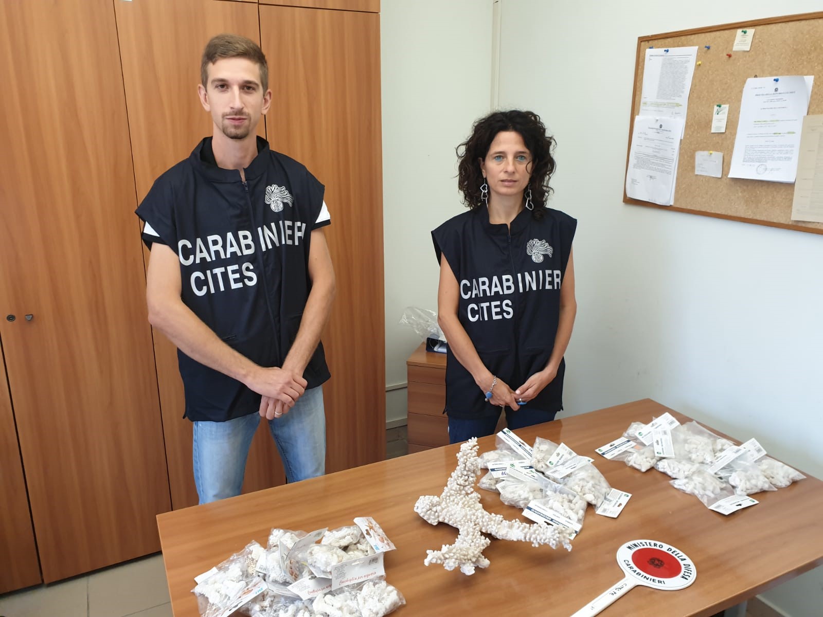 Conclusa l'operazione Low Cost dei carabinieri del Cites di Pescara contro il commercio illegale di corallo