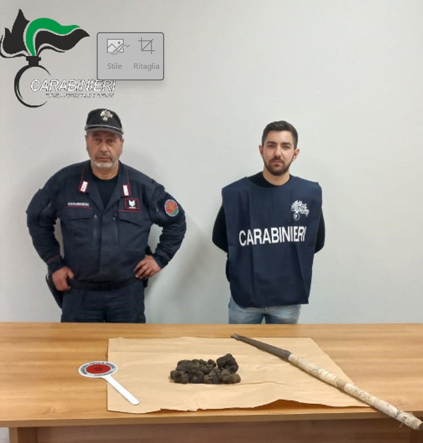 Sequestrato tartufo nero raccolto illegittimamente a Canosa Sannita