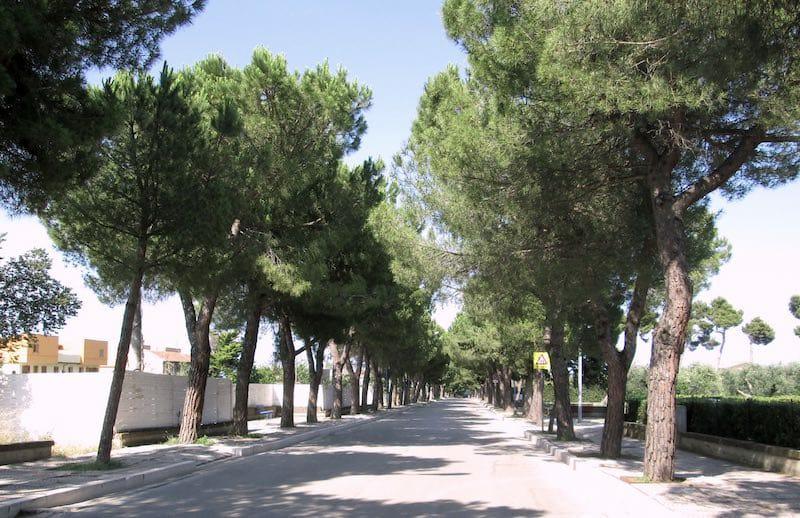 Fossacesia, rifacimento marciapiedi viale San Giovanni in Venere, il Comune partecipa a bando