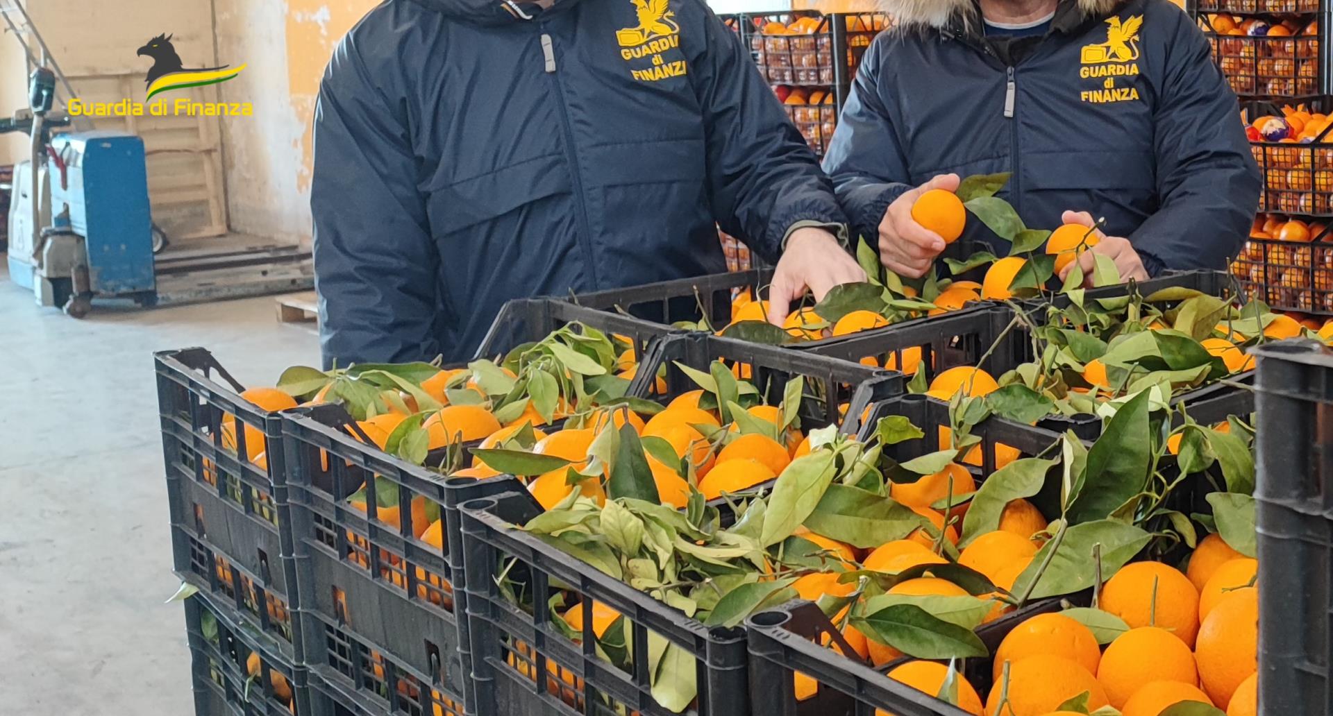 GDF PESCARA: SEQUESTRATE 6 TONNELLATE DI ARANCE E CLEMENTINE NON CONFORMI.