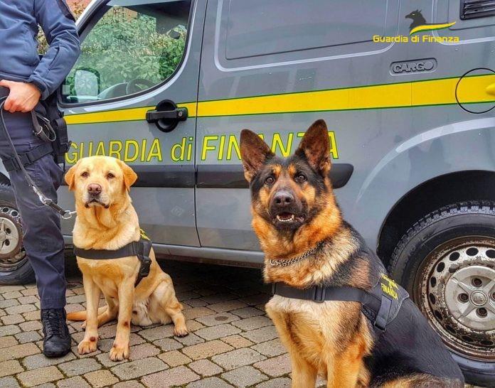 Guardia di Finanza Chieti , controlli allo Shock Wave Festival di Francavilla al Mare Festival, segnalati 22 giovani per droga  