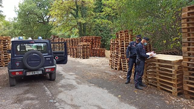 Turrivalignani, sequestrati dai Carabinieri Forestale migliaia di bancali in legno