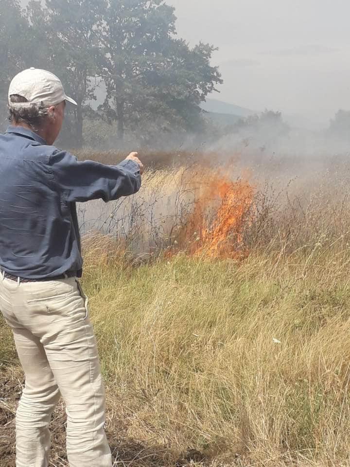 Atessa,  incendi, Borrelli: per scovare i responsabili costituire un nucleo investigativo speciale