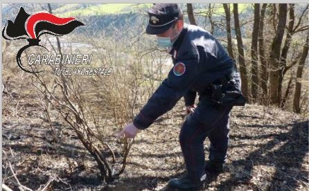 Incendio boschivo a Fara Filiorum Petri, i Carabinieri Forestale individuano presunto responsabile