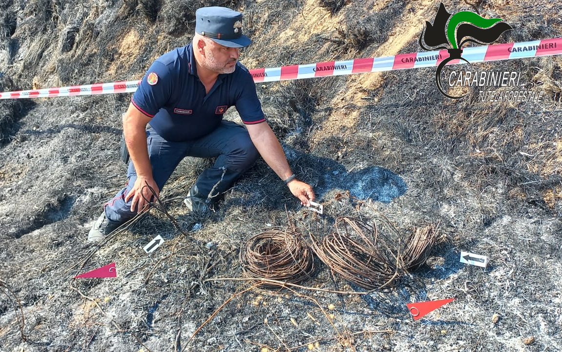 Incendio boschivo colposo a Ripa teatina, i Carabinieri Forestali deferiscono il responsabile
