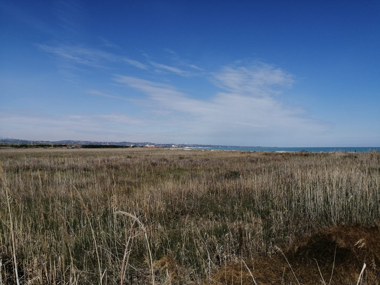 Progetto South Beach al confine tra Molise e Abruzzo,Coordinamento Tu.Vi.Va.: si rischia la più grande cementificazione della costa Adriatica dagli anni '70