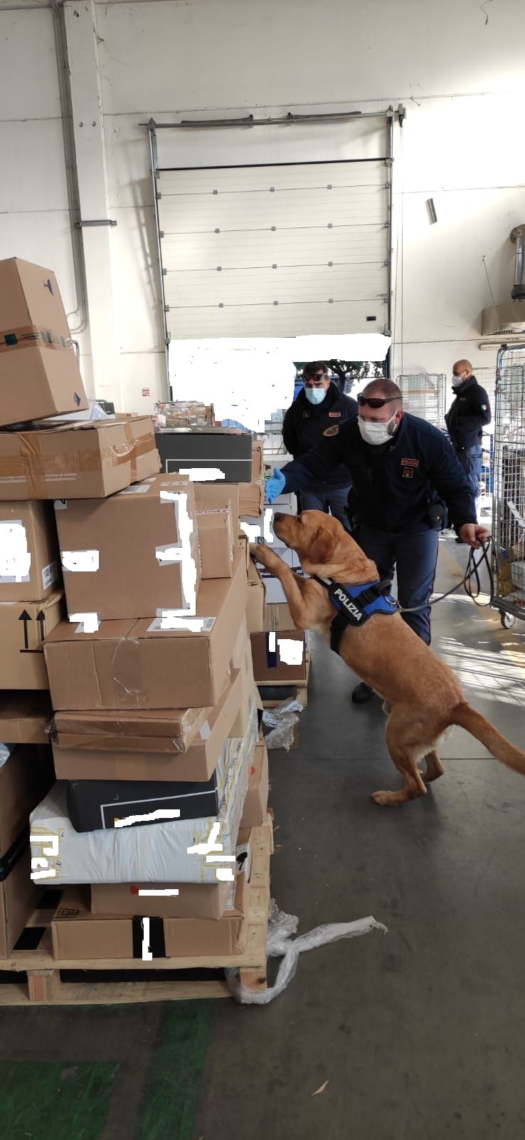 Pescara, sequestrati dalla Polizia di Stato otto quintali di botti illeciti