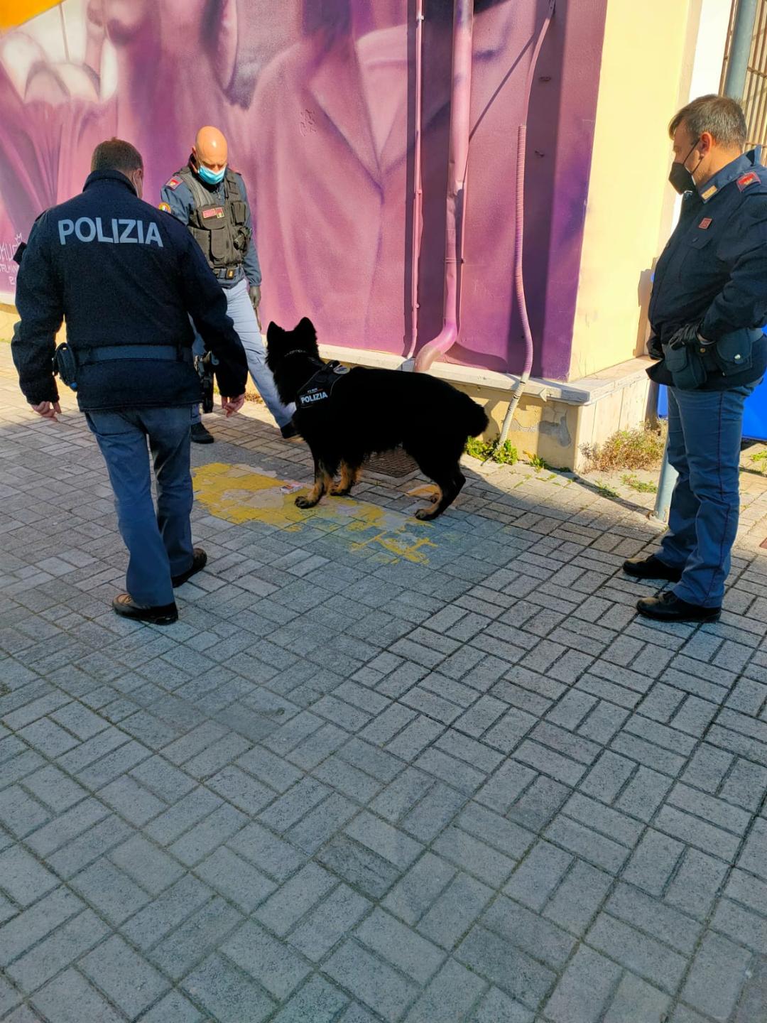 Lanciano, blitz antidroga della Polizia in un Istituto scolastico della città con l'ausilio del cane Buk