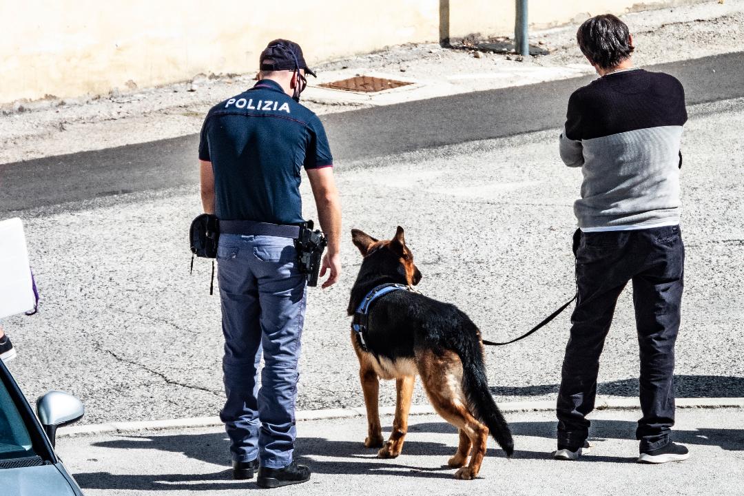 L'Aquila, controlli della Polizia nei luoghi della movida, arresti e sanzioni