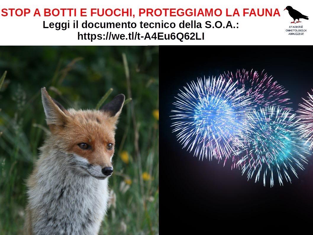 Botti e fuochi, danni alla fauna e inquinamento,i dati in un documento tecnico della SOA